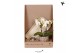 Arrangementen kamerplanten Kolibri Green up your home - Gift Set small 