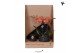 Arrangementen kamerplanten Kolibri Green up your home - Gift Set small 