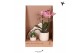Phalaenopsis Kolibri Green up your home - Gift Set small - Travertine 