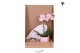 Phalaenopsis Kolibri Green up your home - Gift Set small - Mediterrane 