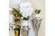 Phalaenopsis Kolibri Green up your home - Gift Set small - Le Chic sil 