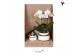 Phalaenopsis Kolibri Green up your home - Gift Set small - Le Chic gol 
