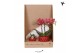 Phalaenopsis Kolibri Green up your home - Gift Set small - Berry 