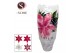 Lilium oriental mix 