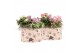 Arrangementen kamerplanten 21641: Valentines day arrangement 2 pp 