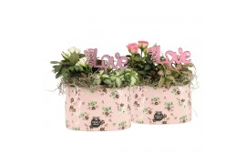 Arrangementen kamerplanten 21641: Valentines day arrangement 2 pp