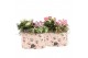 Arrangementen kamerplanten 21641: Valentines day arrangement 2 pp 