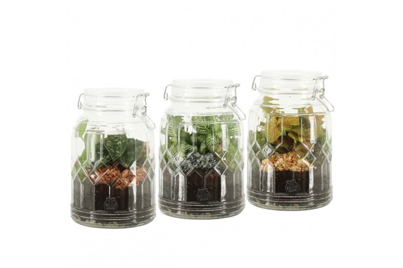 Arrangementen kamerplanten 90718: Terrarium arrangement 