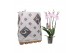 Phalaenopsis mix 4 tak - 25+ bloemen pulptray 