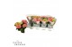 Hydrangea saxon candy heart Roze 3-5 Bloem 