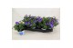 Petunia famous light blue 