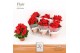 Begonia elatior du. baladin DolcAmore® Flair 