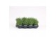 Lavandula angustifolia essence purple 