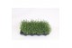 Lavandula angustifolia essence purple 