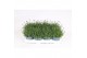 Lavandula angustifolia essence purple 