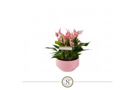 Anthurium lilli table schaal in lucca keramiek