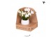 Phalaenopsis multiflora wit Kolibri Orchids Halo in bowl pot white 