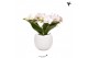 Phalaenopsis multiflora wit 3 tak halo white in bowl pot white kolibri 