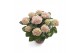 Hydrangea macr. magical revolution Roze 9-10 Bloem 