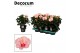 Hibiscus rosa-sinensis jersey Decorum roze 