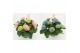 Hydrangea macr. magical revolution Mix 7-8 Bloem 