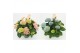 Hydrangea macr. magical revolution Mix 9-10 Bloem 