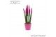 Sansevieria velvet touchz fuchsia keramiek 