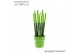Sansevieria cylindrica velvet touchz® groen in keramiek edel 