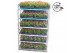 Pelargonium peltatum LongLife Peltatum Mix CC 