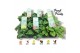 Pelargonium welrieke mix Fresh&Fruity® Mixtray 