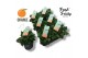 Pelargonium welrieke mix Fresh&Fruity® Orange Fresh 
