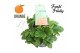 Pelargonium welrieke mix Fresh&Fruity® Orange Fresh 