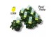 Pelargonium welrieke mix Fresh&Fruity® Lemon Fresh 