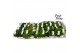 Pelargonium welrieke mix Fresh&Fruity® Mixlaag 