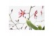 Oncidium mieke von holm 2 tak,2 tak/plnt,tweekleurig,2 tak/plnt,tweekl 