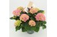 Hydrangea macr. magical evolution Roze 7-8 Bloem 