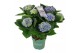 Hydrangea macr. magical evolution Blauw 7-8 Bloem 