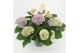 Hydrangea macr. magical evolution Blauw 7-8 Bloem 