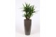 Yucca elephantipes Vertakt - Santorini pot Taupe 