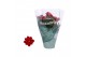 Kalanchoe rosalina don justino 