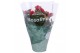 Kalanchoe rosalina don justino 