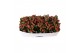Kalanchoe blossfeldiana rosalina don justino Traykraag 