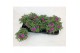 Calibrachoa minifamous pink Calibrachoa MiniFamous® Uno Pink 