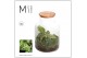 Arrangementen anthurium Jewel Orchid - Karma Emerald | Garden of Karma 