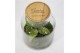 Arrangementen anthurium Jewel Orchid - Karma Emerald | Garden of Karma 