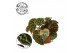 Begonia blad ferox rex - Troll 