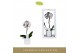 Phalaenopsis roze Singolo - Arto Marble Soft Pink - 1 bloem - Lazio Wh 