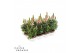 Antirrhinum majus roze 