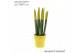 Sansevieria cylindrica velvet touchz® geel in keramiek edel 