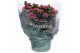 Kalanchoe blossfeldiana rosalina don victorio paars 